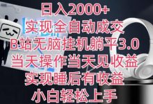 日入2000+,实现全自动成交,B站无脑挂机躺平3.0,当天操作当天见收益,实现睡后有收益-蜗牛学社