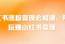 小红书涨粉变现必修课,带你玩赚小红书变现-蜗牛学社