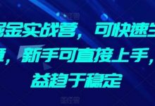 AI掘金实战营,可快速生成文章,新手可直接上手,收益趋于稳定-蜗牛学社