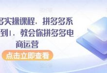 拼多多实操课程,拼多多系统从0到1,教会你拼多多电商运营-蜗牛学社