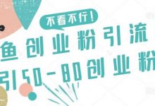 咸鱼创业粉引流日引50-80创业粉-蜗牛学社