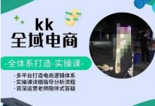 KK全域电商,全体系打造实操课,多平台打造电商逻辑体系-蜗牛学社