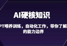 AI硬核知识-GPT喂养训练,自动化工作,带你了解AI的能力边界(10节课)-蜗牛学社