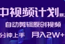 中视频计划暴力起号,自动剪辑原创视频,3分钟上手,月入2W+-蜗牛学社