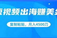 短视频出海赚美金,复制粘贴批量操作,小白轻松掌握,月入4500美刀-蜗牛学社