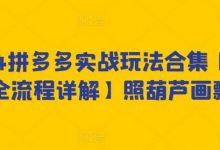 2024拼多多实战玩法合集【0-1全流程详解】照葫芦画瓢-蜗牛学社