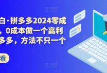 拼多多2024零成本包起,0成本做一个高利润的拼多多,方法不只一个-蜗牛学社