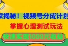 独家揭秘!视频号分成计划曝光,掌握心理测试玩法,快速实现1000元收益-蜗牛学社