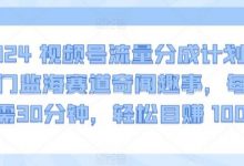 2024视频号流量分成计划,冷门监海赛道奇闻趣事,每天只需30分钟,轻松目赚 1000+-蜗牛学社