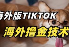 抖音海外版tiktok撸金技术,这个风口行业,赚钱真的不难-蜗牛学社