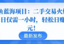 闲鱼蓝海项目:二手交易火爆,每日仅需一小时,轻松日赚千元-蜗牛学社