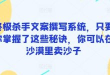 终极杀手文案撰写系统,只要你掌握了这些秘诀,你可以在沙漠里卖沙子-蜗牛学社