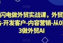 AI闪电做外贸实战课,外贸建站-开发客户-内容营销-从0到3做外贸AI-蜗牛学社