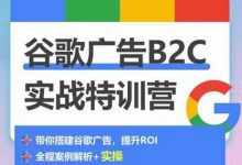 谷歌广告B2C实战特训营,500+谷歌账户总结经验,实战演示如何从0-1搭建广告账户-蜗牛学社