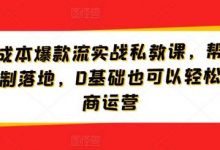 淘宝低成本爆款流实战私教课,帮助商家快速复制落地,0基础也可以轻松搞定电商运营-蜗牛学社