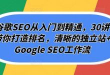 谷歌SEO从入门到精通,30讲带你打造排名,清晰的独立站+Google SEO工作流-蜗牛学社