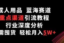 成人用品,蓝海赛道,重点渠道引流教程,行业深度分析,无需囤货,轻松月入5W+-蜗牛学社