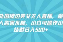 快手外国美女无人直播,魔幻声音男人欲罢不能,小白可操作小铃铛挂载日入500+-蜗牛学社