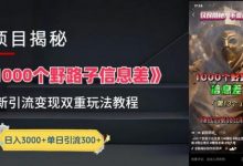 一千个野路子信息差最新玩法教程-变现+引流的玩法具体拆解-蜗牛学社