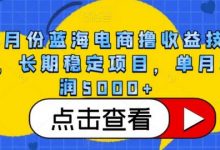 4月份蓝海电商撸收益技术,长期稳定项目,单月利润5000+-蜗牛学社