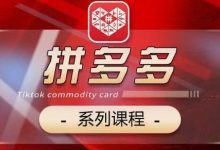 2024拼多多系列课,【基础】【运营】【活动】【推广】【玩法】5大模块-蜗牛学社