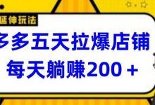 多多五天拉爆店铺,每天躺赚200+-蜗牛学社
