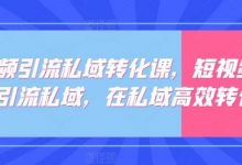 短视频引流私域转化课,短视频精准引流私域,在私域高效转化-蜗牛学社