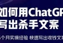 如何用ChatGPT写出杀手文案,6个月实操经验,快速写出收钱文案-蜗牛学社