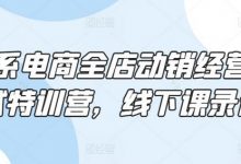 淘系电商全店动销经营模式特训营,线下课录音-蜗牛学社