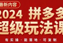 2024拼多多超级玩法课,让你的直通车扭亏为盈,降低你的推广成本-蜗牛学社