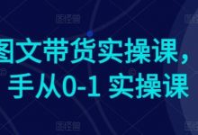 Ai图文带货实操课,新手从0-1 实操课-蜗牛学社