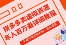 拼多多店铺—虚拟类目从0-1实操详细课程,价值1680-蜗牛学社