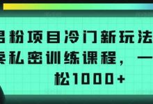 男粉项目冷门新玩法,售卖私密训练课程,一天轻松1000+-蜗牛学社