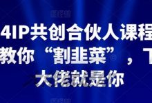 2024IP共创合伙人课程,手把手教你“割韭菜”,下一个大佬就是你-蜗牛学社