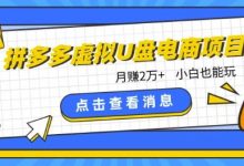 拼多多虚拟U盘电商红利项目:月赚2万+,新手小白也能玩-蜗牛学社