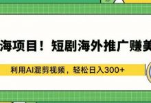 蓝海项目!短剧海外推广赚美金,利用AI混剪视频,轻松日入300+-蜗牛学社