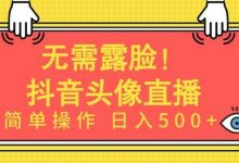 无需露脸,Ai头像直播项目,简单操作日入500+-蜗牛学社