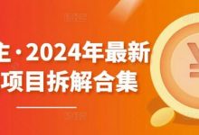 黄岛主·2024年最新副业项目拆解合集【无水印】-蜗牛学社