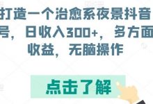 打造一个治愈系夜景抖音号,日收入300+,多方面收益,无脑操作-蜗牛学社