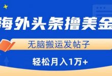 海外头条赚美金,无脑搬运发帖子,月入1万+,小白轻松掌握-蜗牛学社