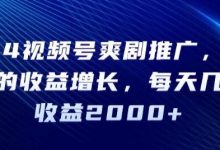 2024视频号爽剧推广,肉眼可见的收益增长,每天几分钟收益2000+【揭秘】-蜗牛学社