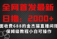 全网首发最新,日撸2000+,外面收费688的金杰猫直播间搭建,保姆级教程小白可操作【揭秘】-蜗牛学社