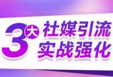 3大社媒引流实战强化,多渠道站外引流,高效精准获客,订单销售额翻倍增长-蜗牛学社