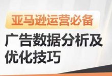 亚马逊广告数据分析及优化技巧,高效提升广告效果,降低ACOS,促进销量持续上升-蜗牛学社