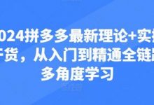2024拼多多最新理论+实操干货,从入门到精通全链路多角度学习-蜗牛学社