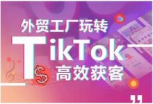 外贸工厂玩转TikTok高效获客,多种引流方式与账号定位技巧,拆解爆款短视频打造成功案例-蜗牛学社