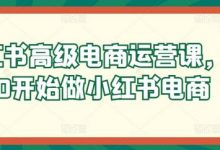 小红书高级电商运营课,从0开始做小红书电商-蜗牛学社