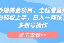 海外赚美金项目,全程看直播,小白轻松上手,日入一两张,可多账号操作-蜗牛学社