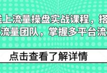 2024线上流量操盘实战课程,搭建高人效流量团队,掌握多平台流量-蜗牛学社