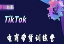 TikTok电商带货训练营,跟随时代潮流,跨境掘金-蜗牛学社